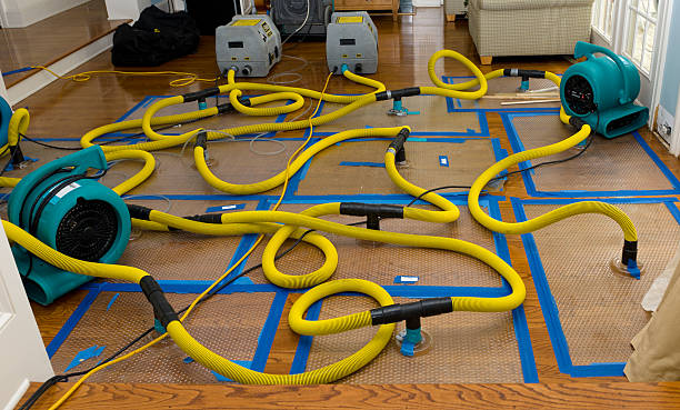 Professional Water Extraction technician working in Harvard, IL